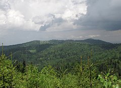 IMG_x39746_cr