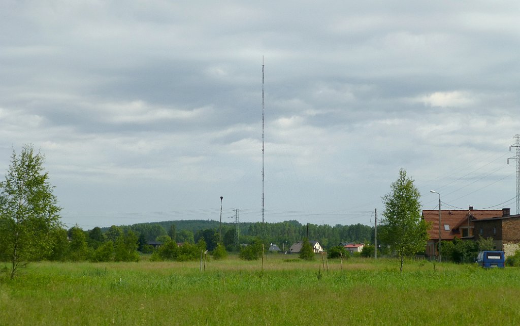 TZ_P1020054_cr.jpg