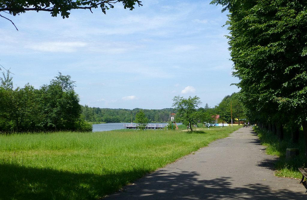 TZ_P1020093_cr.jpg