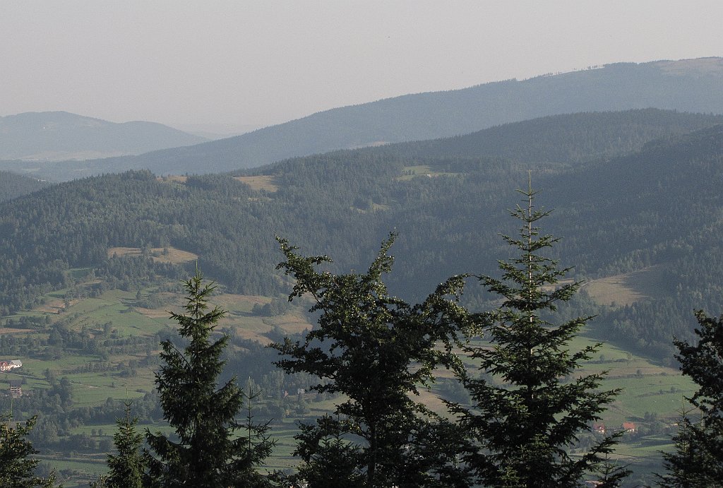 047__IMG_x42069_cr.jpg -                                