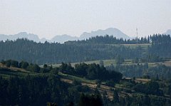 097_IMG_x43335_cr