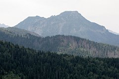 IMG_x44372_cr