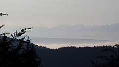 033_IMG_x44951_cr