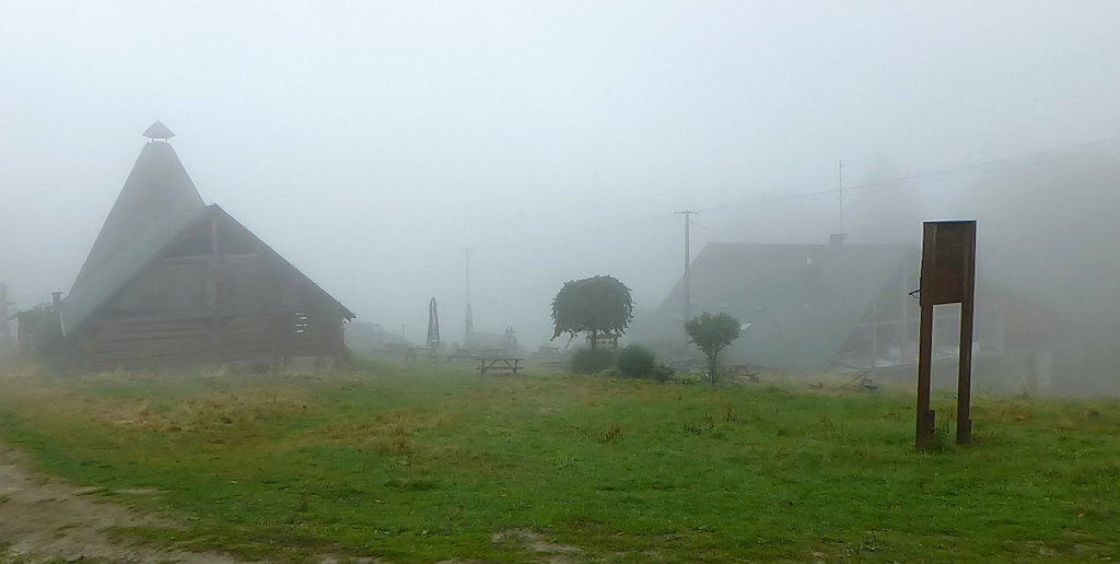 TZ_P1050164_cr.jpg