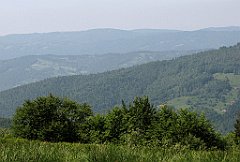 312_IMG_x47331_cr