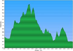 000_2014_06_23w_Lubien_Kamiennik