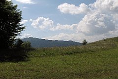 072_IMG_x47563_cr