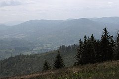 IMG_x48216_cr