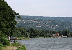 235_IMG_x48596_cr