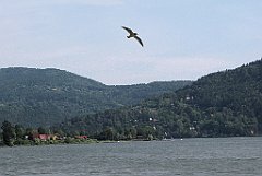 237_IMG_x48598_cr