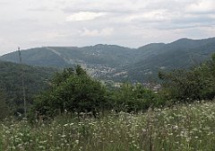 552_IMG_x48973_cr