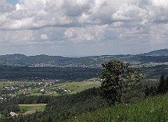 469_IMG_x50238_cr
