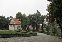 068_IMG_x50509_cr