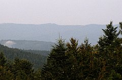 058_IMG_x50571_cr