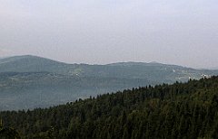 095_IMG_x50615_cr