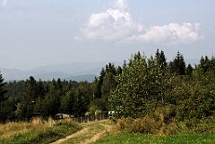 158_IMG_x50687_cr