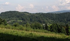 387_IMG_x50973_cr