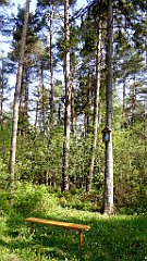 016_TZ60_P1010881_cr