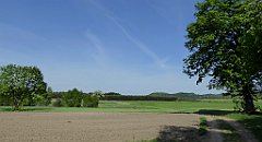 074_TZ60_P1010952_cr