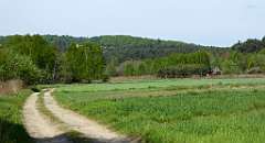 089_TZ60_P1010970_cr