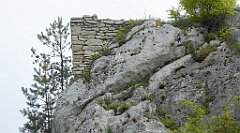 131_TZ60_P1010992_cr