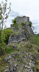 136_TZ60_P1010996_cr