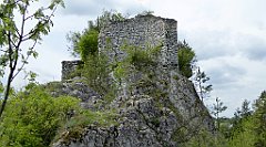 137_TZ60_P1010997_cr