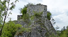 145_TZ60_P1020002_cr