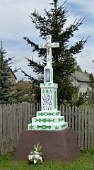 157_TZ60_P1020014_cr