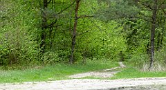 162_TZ60_P1020019_cr