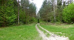 164_TZ60_P1020021_cr