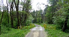 203_TZ60_P1020058_cr