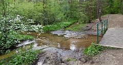 210_TZ60_P1020065_cr