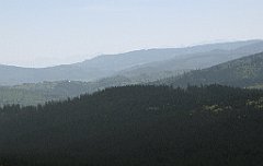 137_IMG_x51831_cr