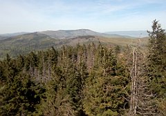 356_A808_IMG_20150512_143749_cr