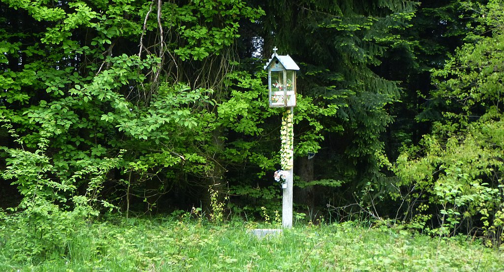 005_3D_P1050220_cr.jpg