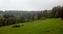 093_A808_IMG_20150517_091910_cr