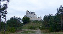 006_TZ60_P1040428_cr