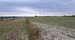 122_TZ60_P1040565_cr