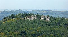 193_TZ60_P1040625_cr