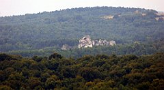 197_TZ60_P1040629_cr