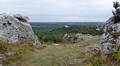 200_TZ60_P1040633_cr