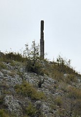 312_TZ60_P1040689_cr