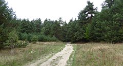 313_TZ60_P1040690_cr