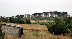 331_TZ60_P1040701_cr