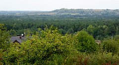 465_TZ60_P1040858_cr