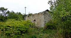 468_TZ60_P1040861_cr