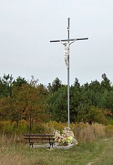 488_TZ60_P1040871_cr