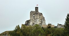 499_TZ60_P1040879_cr