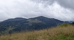 099_TZ60_P1040910_cr